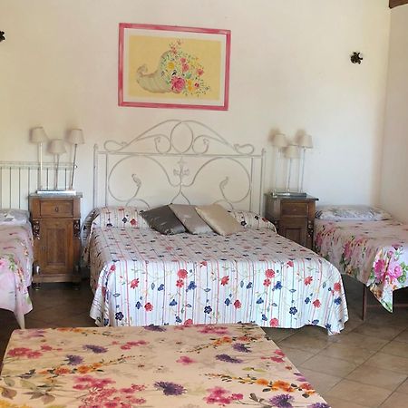 Casale Fedele Family Relax B&B Vicino Al Borgo Ronciglione  Exterior photo